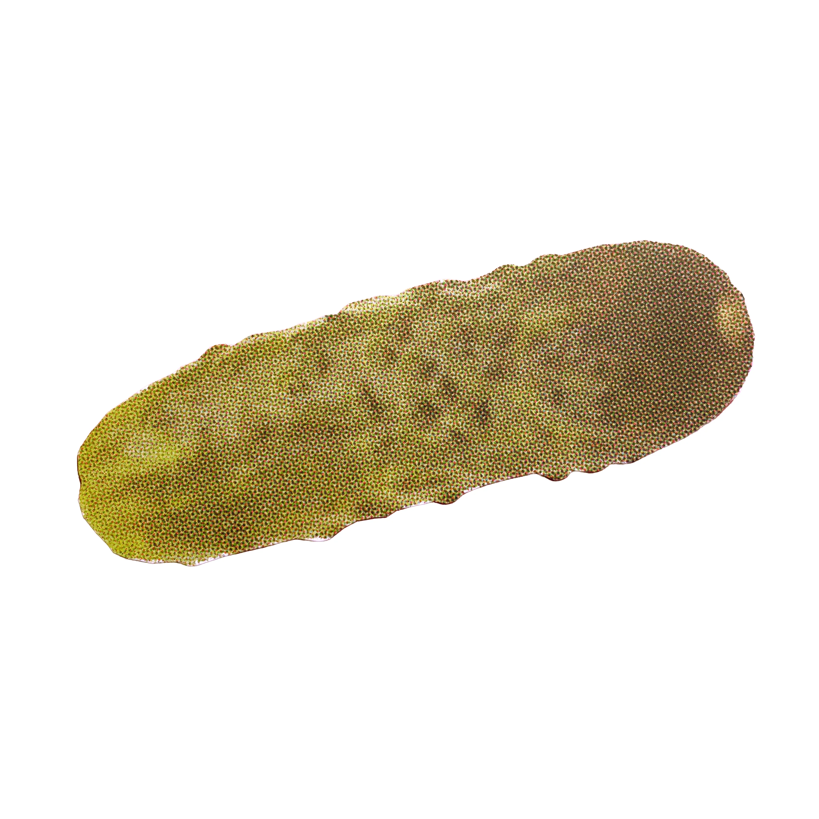 Retro NYC Pickle Postcard with Envelope - Image 3