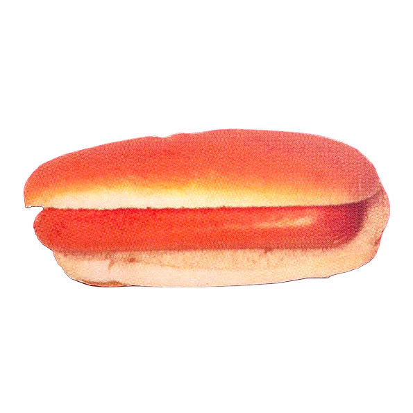 Retro NYC Hot Dog Postcard with Envelope - Image 3