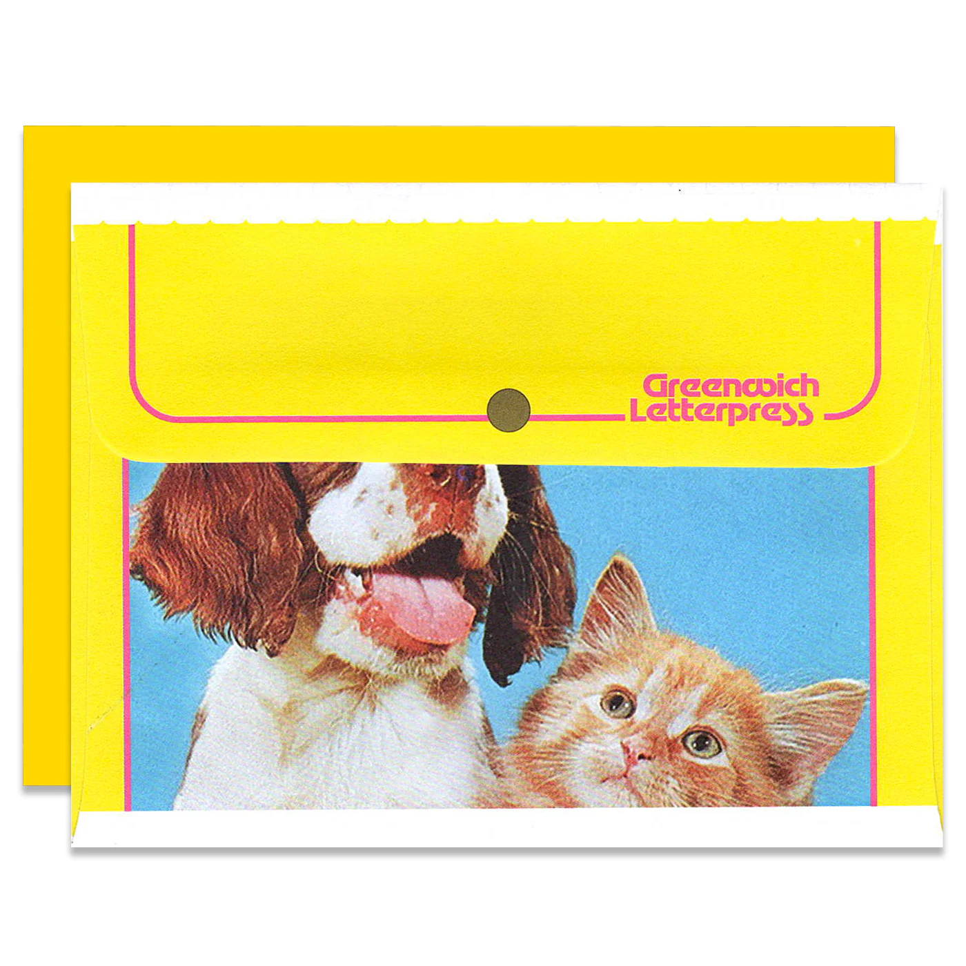 YELLOW PETS - Image 2